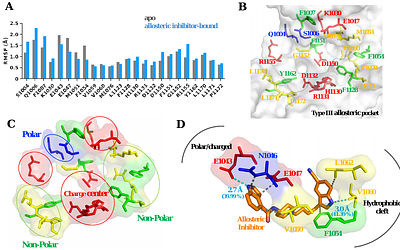 Conformational Dynamics in Insulin Receptor Kinase Reveals a Type III Allosteric Pocket