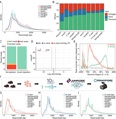 Optimizing Single-Cell Long-Read Sequencing for Enhanced Isoform Detection in Pancreatic Islets