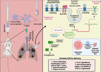 Inhalable Perfluorocarbon Nanocapsules for RNA-based Immunotherapeutic Treatment of Lung Metastases
