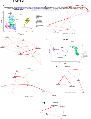 Inferring physical cell-cell communication networks from scRNAseq data using univariate linear models.