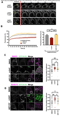 Multiplexed proximity labelling proteomics identifies a non-canonical Bcl-2 family interactome associated with apoptotic priming