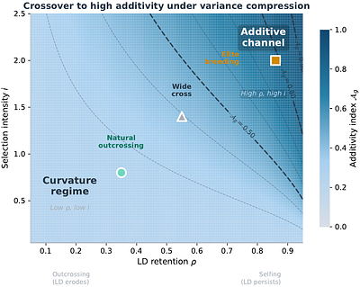 Additive Channels in Curved Fitness Landscapes