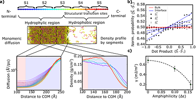 Interplay between Local Diffusion, Concentration, and Inter-Protein Alignment Promotes Cross-β-Sheet Transitions at Condensate Interfaces