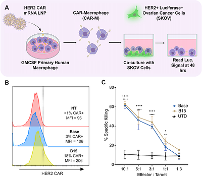 Bioinspired Oxidized mRNA Lipid Nanoparticles for Ex Vivo Engineering of Chimeric Antigen Receptor Macrophages Targeting Solid Tumors