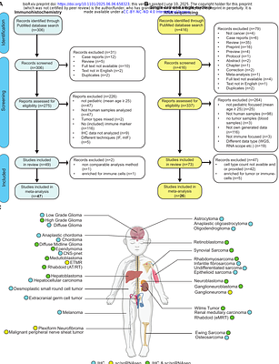 The immune landscape of pediatric Brain and Solid Tumors: A systematic review and integration of immunohistochemistry and single-cell RNA sequencing data