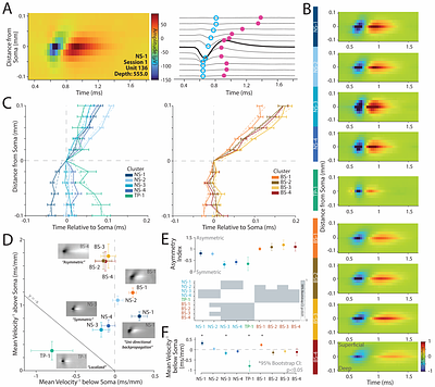 High-resolution laminar recordings reveal structure-function relationships in monkey V1