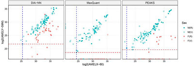 Rapid and robust sex determination from ancient enamel proteomes using protSexInferer
