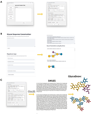 Bridging Worlds: Connecting Glycan Representations with Glycoinformatics via Universal Input and a Canonicalized Nomenclature