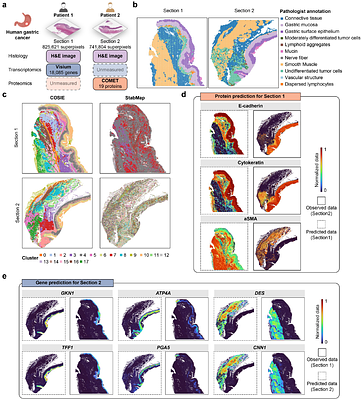 Toward Computationally Complete Spatial Omics