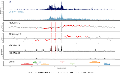 FourC: identifying significant and differential contacts in 1D chromatin conformation data