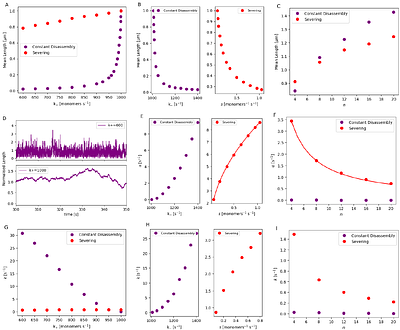 Quantitative Signatures of Disassembly Mechanisms Modulating Filament and Bundle Assembly in a Shared Pool