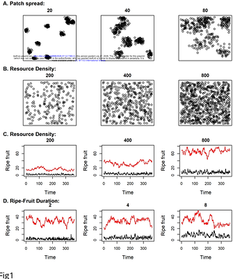 The ecology of remembering and forgetting: quantity-quality trade-offs in the spatiotemporal memory of a forager