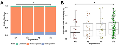 Commensal skin bacteria interact with the innate immunesystem to promote tail regeneration in Xenopus laevis tadpoles.