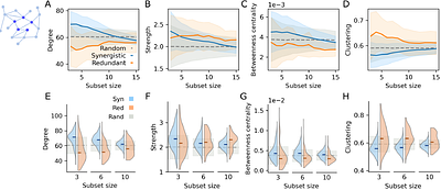 Structural signatures of synergy and redundancy in human brain function
