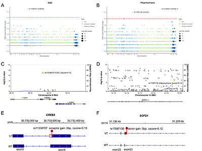 Spliformer-v2 predicts multi-tissue RNA splicing and reveals functional genomic links with neurodegenerative diseases