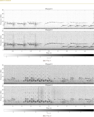 RUBAT Studio: A Unified Workbench for Multichannel Bioacoustic Data Acquisition