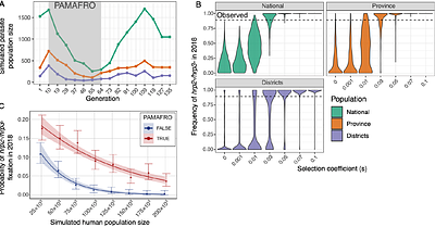 Malaria control and the unexpected spread of diagnostic-resistant Plasmodium falciparum in Peru
