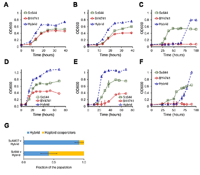 Facultative Cheating and Hybrid Vigor Resolves Cooperator-Cheater Conflict in a Yeast Public Goods System.
