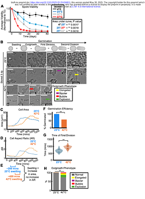 Impacts of stress and aging on spore health in Schizosaccharomyces pombe