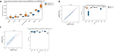 MERFISH 2.0, an ultra-sensitive single-cell spatial transcriptomics imaging chemistry across diverse tissue types