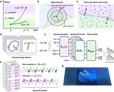 Experimental robustness benchmark of quantum neural network on a
  superconducting quantum processor
