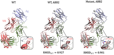 AbDesign: Database of point mutants of antibodies with associated structures reveals poor generalization of binding predictions from machine learning models.