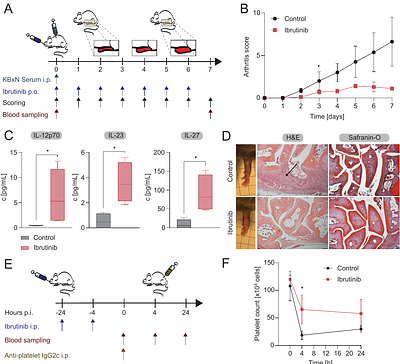 Targeting neutrophil signaling networks in immune complex-mediated autoimmune disease