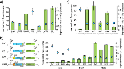 Expression landscape of heterologous enzymes in Synechocystis sp. PCC 6803