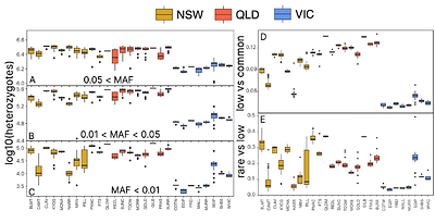 Escaping inbreeding: the demographic path to genetic recovery