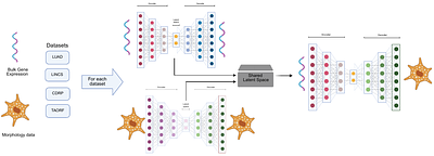 Cellular morphology emerges from polygenic, distributed transcriptional variation