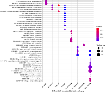 Differential expression of mitochondria-associated genes in clinical samples of Plasmodium falciparum showing severe manifestations