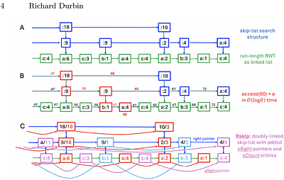 A run-length-compressed skiplist data structure for dynamic GBWTs supports time and space efficient pangenome operations over syncmers