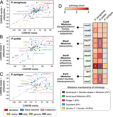 Diversity and evolution of the transcriptional regulatory networks of Pseudomonas strains revealed using machine learning
