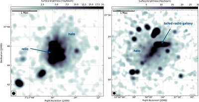 Radial Profiles of Radio Halos in Massive Galaxy Clusters: Diffuse
  Giants Over 2 Mpc