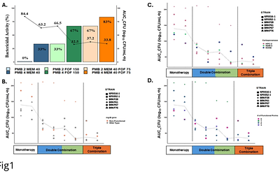 A Mechanism Based Pharmacokinetic/Pharmacodynamic Analysis of Polymyxin B-Based Combination Therapy Against Carbapenem-Resistant Klebsiella pneumoniae Isolates with Diverse Phenotypic and Genotypic Resistance Mechanisms