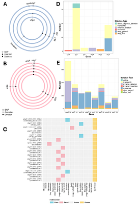 In vitro evolution of uropathogenic Escherichia coli to fosfomycin resistance in a 3D cultured human bladder microtissue model