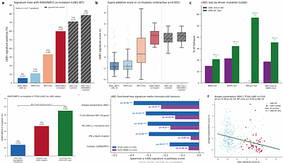 A transcriptional signature of LKB1 functional loss defines a large, therapeutically addressable patient population across human cancers