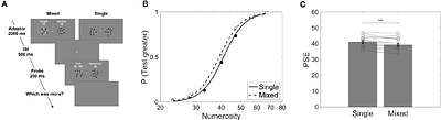 Numerosity adaptation reflects multiple levels of sensory processing