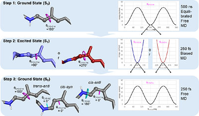 A fast and accurate calculation method for light induced isomerization of retinal proteins in real time