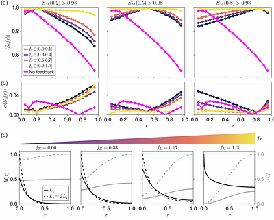 Position Dependent Feedback Drives Scaling and Robustness of Morphogen Gradients