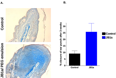 Allosteric modulation of β1 integrin through the hybrid domain reverses articular cartilage injury and functional impairment in a murine model of inflammatory arthritis