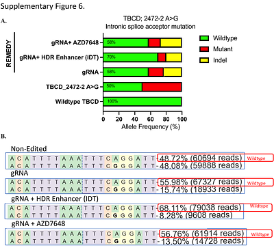REMEDY: REpair of heterozygous Mutations independent of Exogenous Donor template with high efficiency using allele specific CRISPR targeting and HDR enhancers