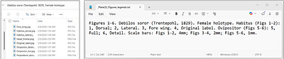 Griphus Software for Multi Panel Figure Composition and Experimentation with Emphasis on Taxonomy