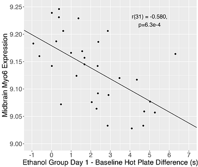 Identification of ethanol analgesia quantitative trait loci and candidate genes in BXD recombinant inbred mouse lines
