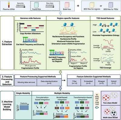 cfDNAanalyzer: a comprehensive toolkit for analyzing cell-free DNA genomic sequencing data in liquid biopsy