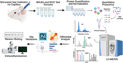 Tear Proteomics Reveals RAGE and NLRP3 Inflammasome Pathway Activation in Lacrimal Glands of a Sjögren's Disease Mouse Model