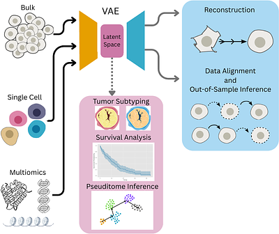 10 Years of Variational Autoencoder: Insights from Cancer Temporal Progression Studies, a Systematic Literature Review