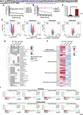 Ribonucleotide Reductase Inhibition Overcomes FLT3 Inhibitor Resistance in Acute Myeloid Leukemia