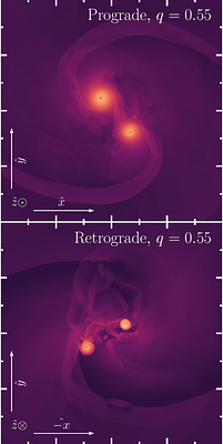 The Multiple Paths to Merger of Unequal-Mass Black Hole Binaries in the
  Disks of Active Galactic Nuclei