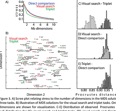 Eye movements reveal representational geometry